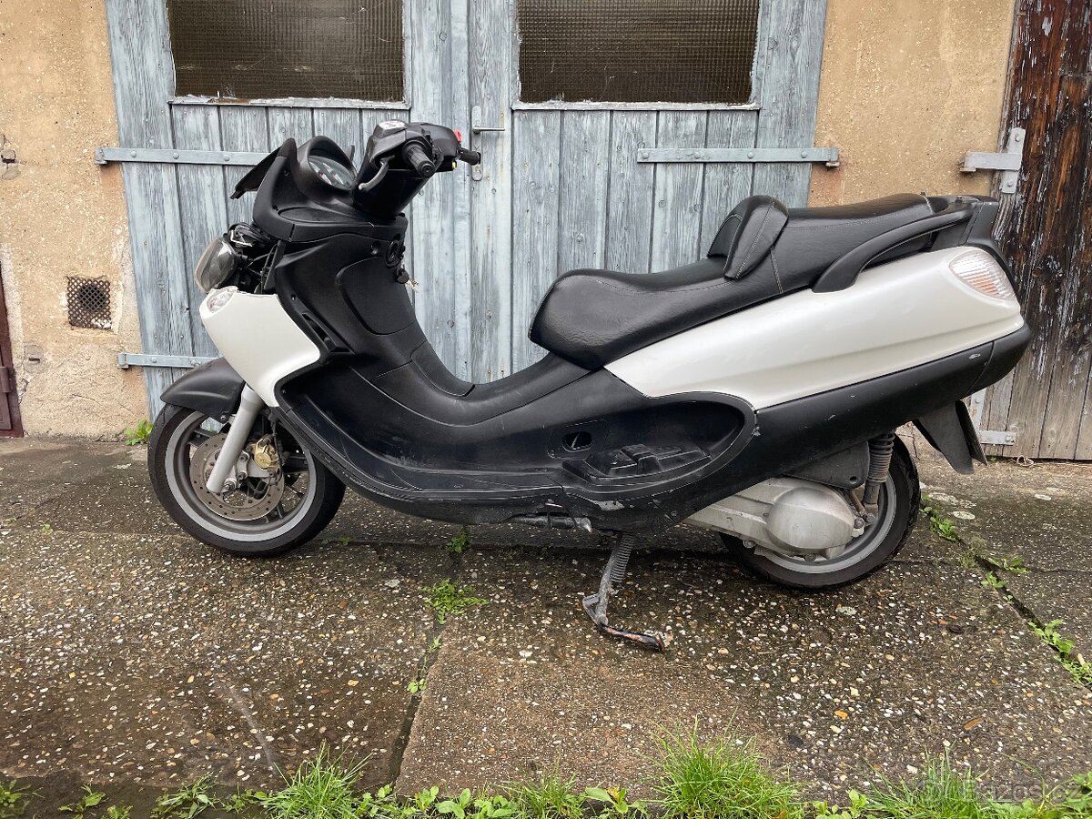 Dily Piaggio X9 - 5