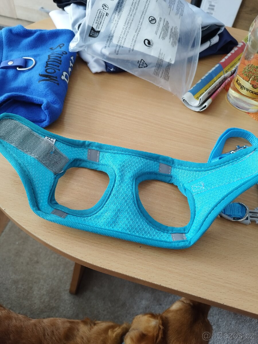 Postroj a lehký obleček pro menšího pejska - 5