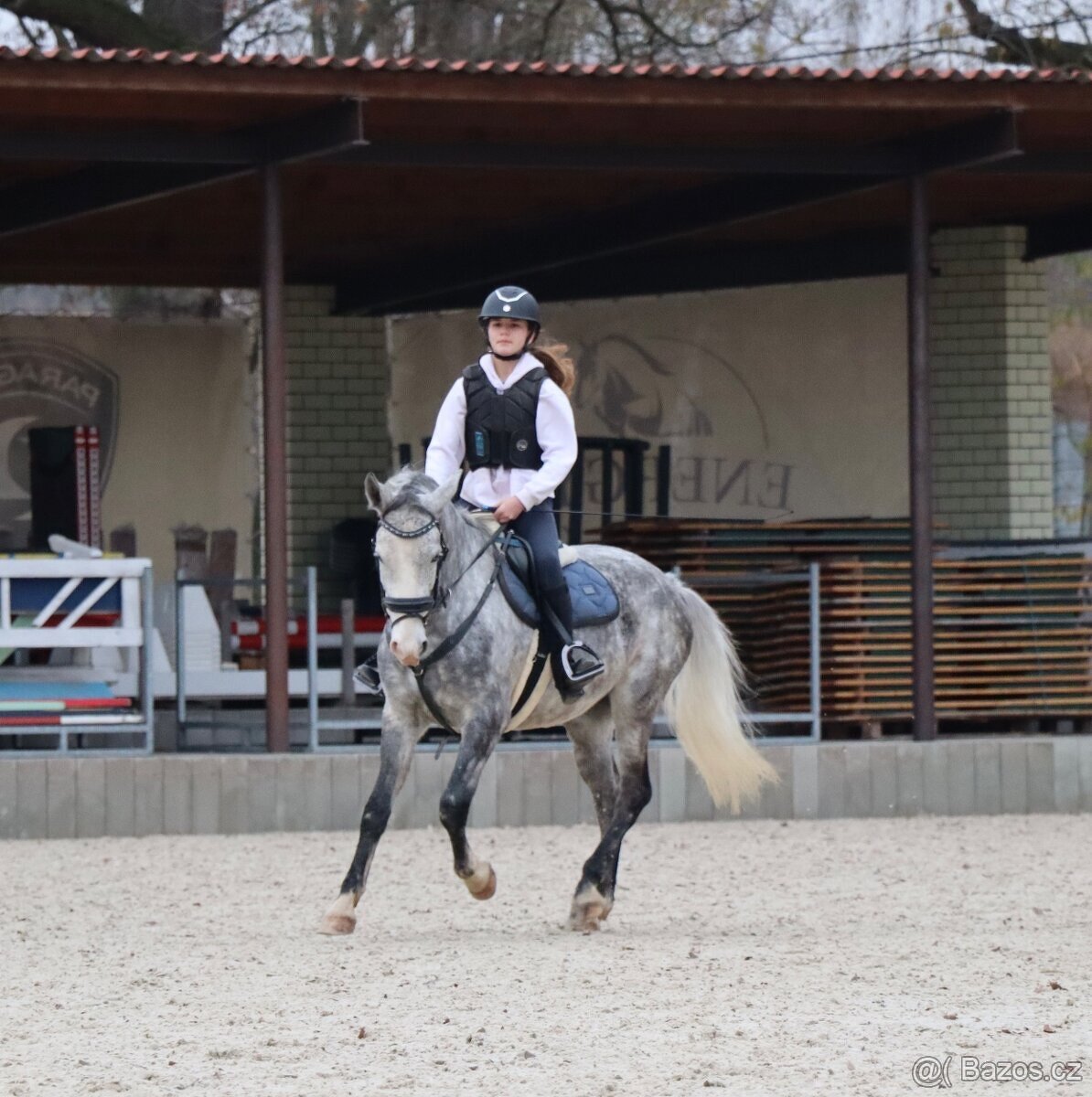 Kvalitní pony učitel - 5