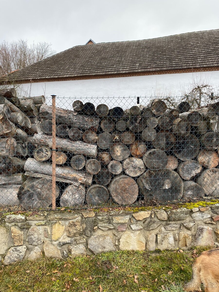 Palivové dřevo - 5