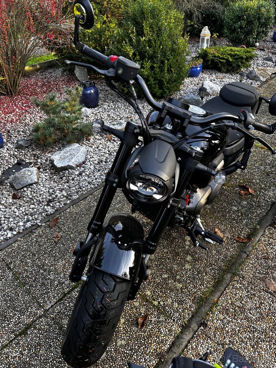 BENDA, BD500-15 CHINCHILLA - 5