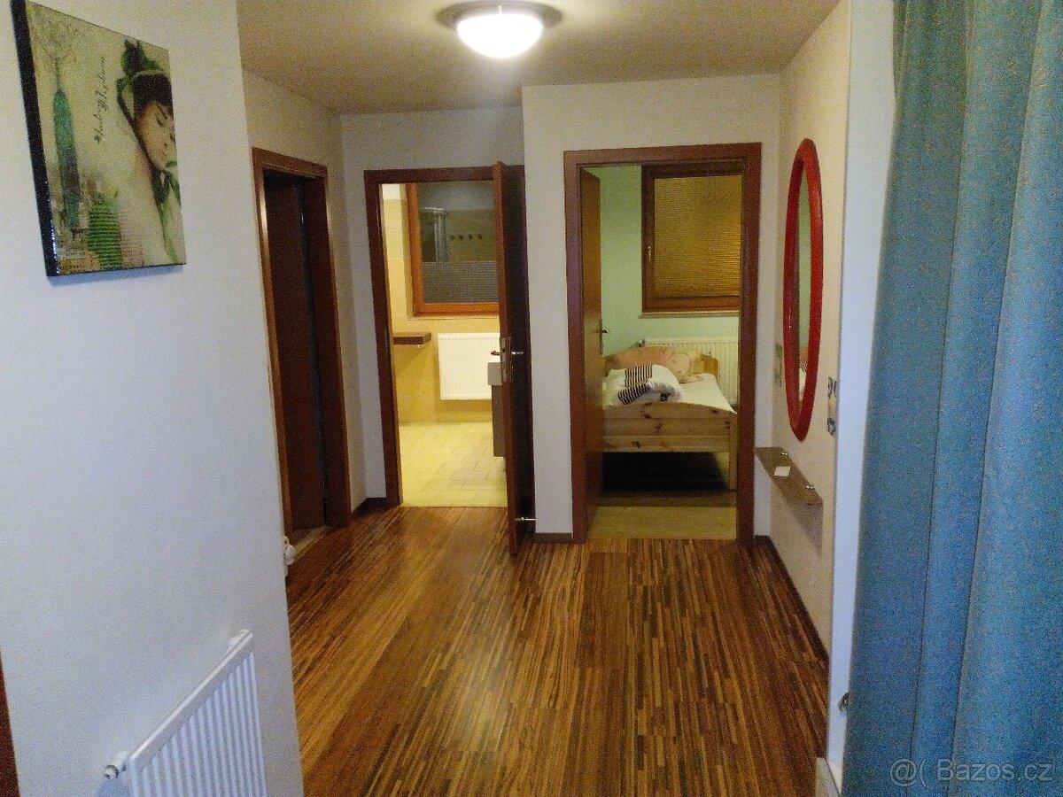 Ubytování Planá nad Lužnicí pokoje - 5