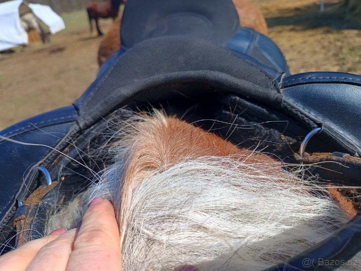 Bezkostrové sedlo ORX Barnet - 5