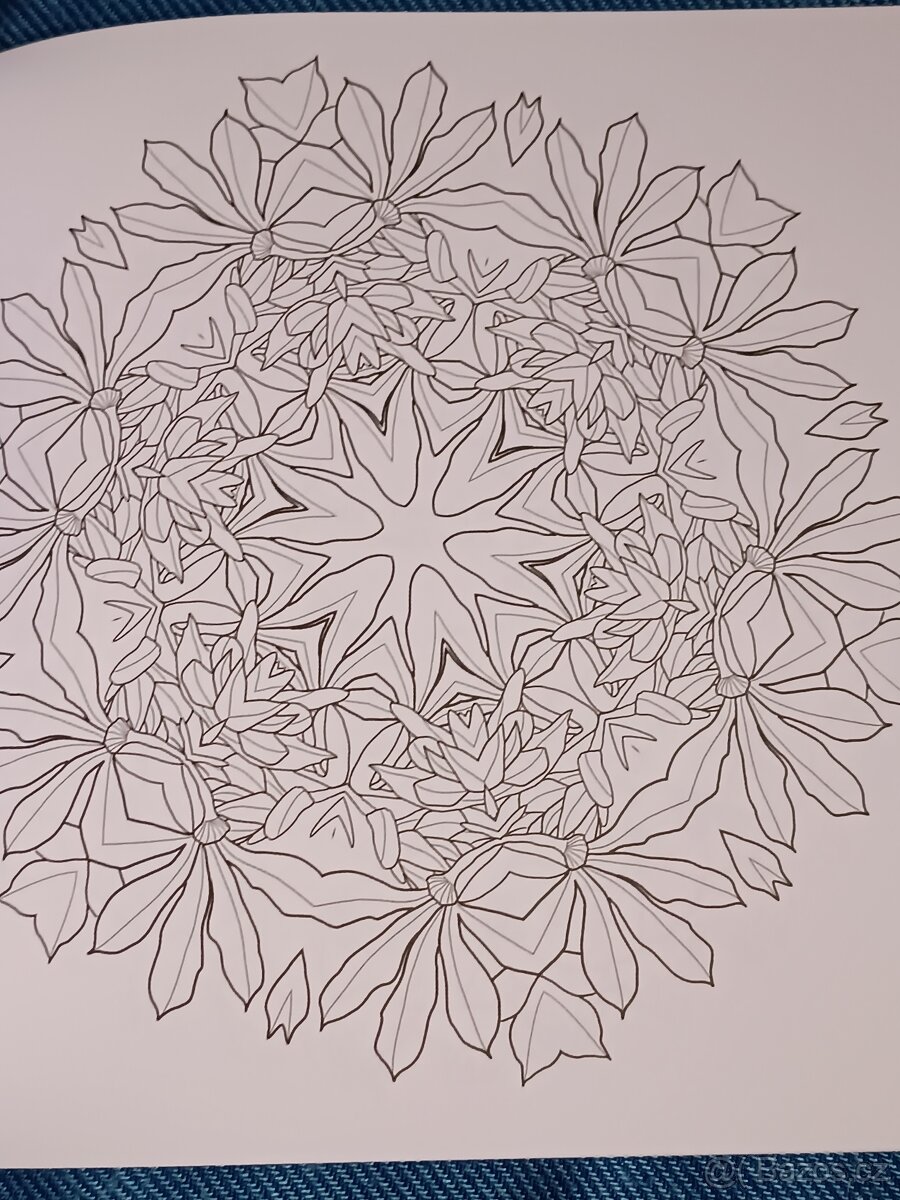 Omalovánky pro dospělé: Inspirativní a ............. - 5