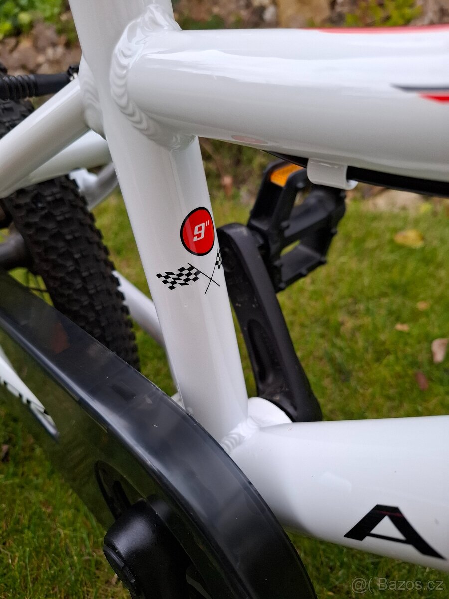 Author Record 16 - 5