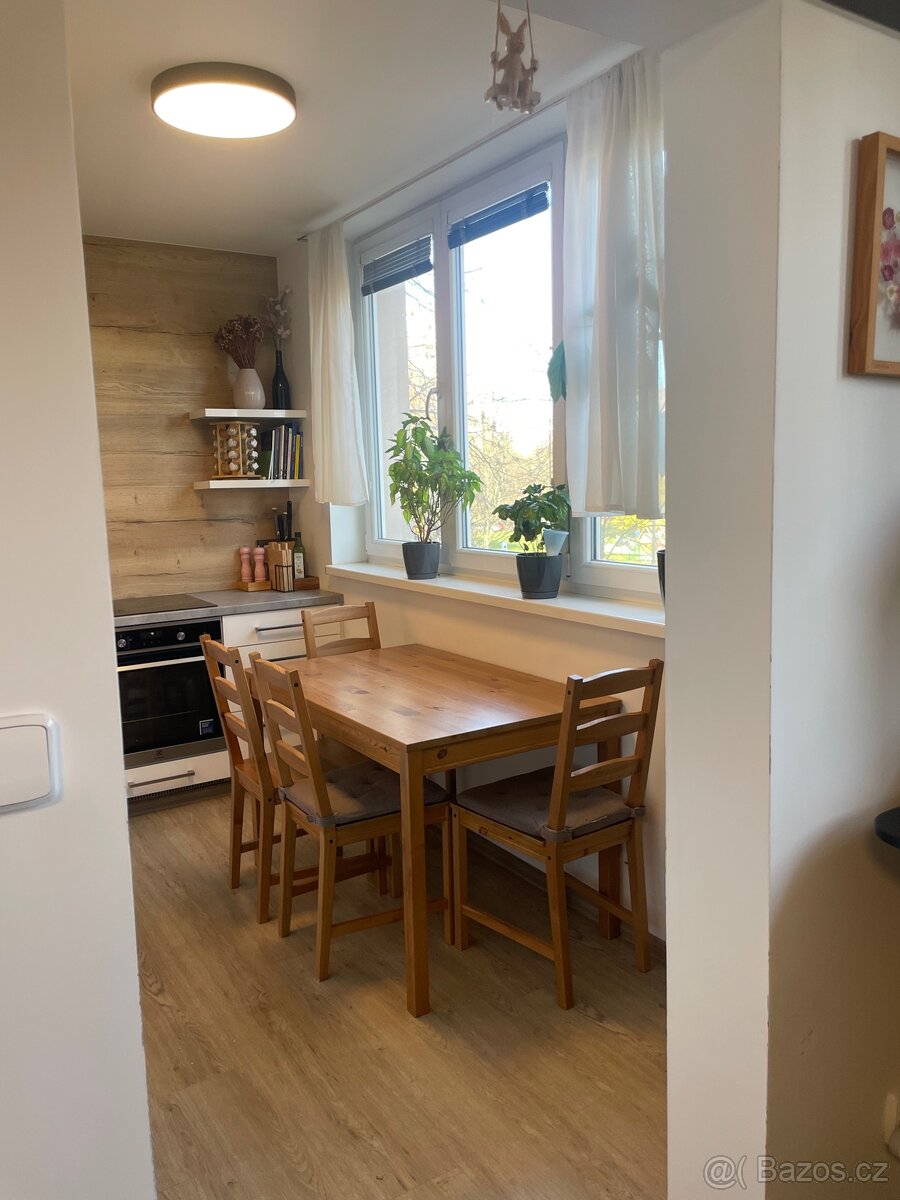 Pronájem 2+1, od března, po reko, super lokalita - 5