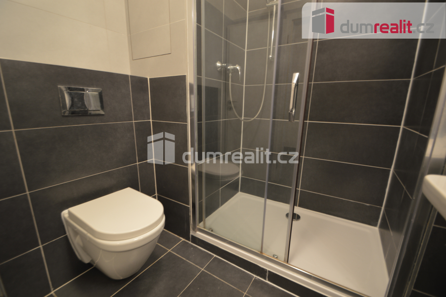 Pronájem 1kk 35m2+60m2 předzahrádka P9 Hloubětín Modrého - 5