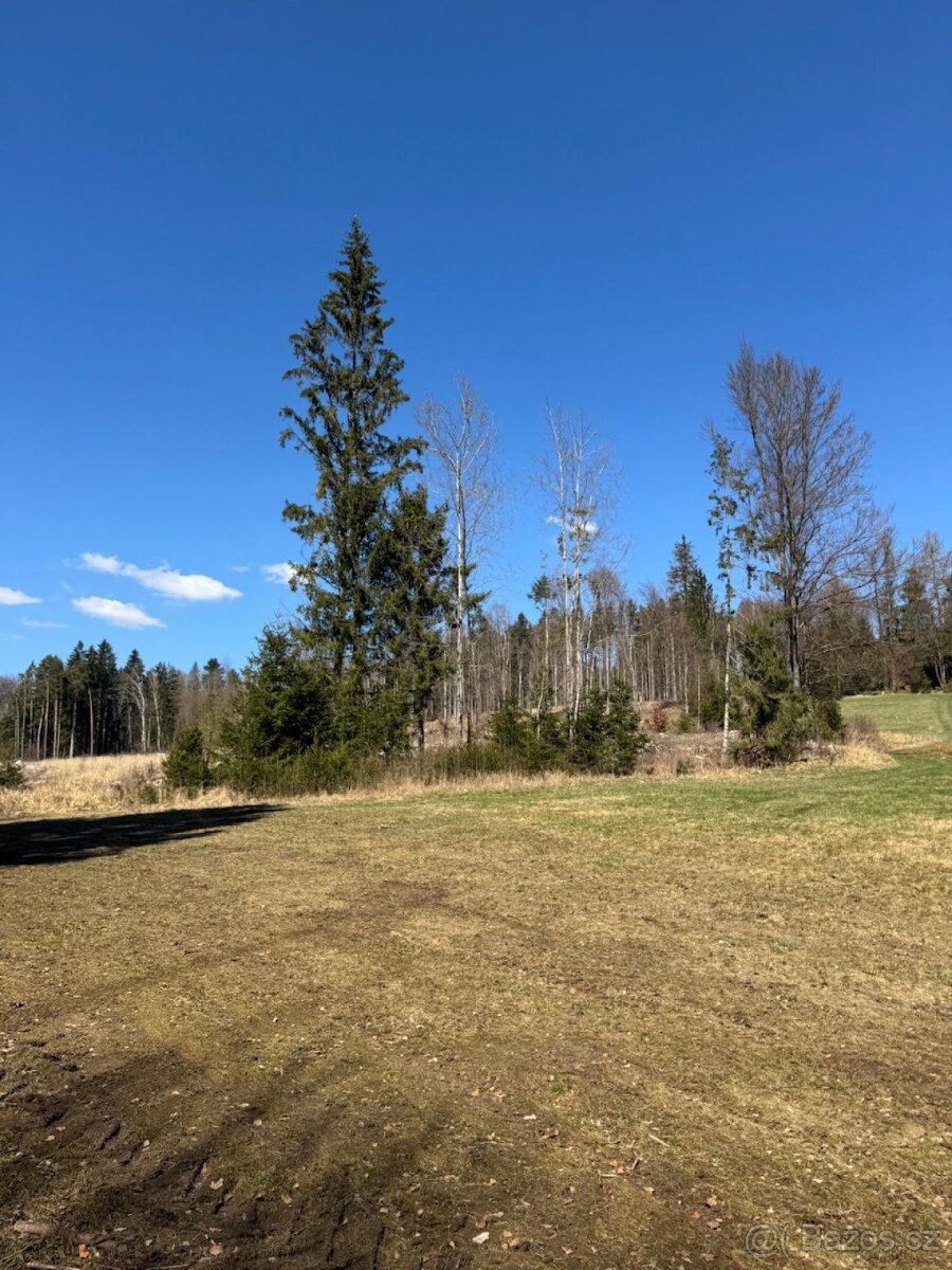 Prodám pozemky v k.ú. Horní Bolíkov - 5