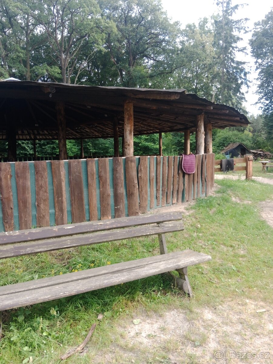 Pastevní ustájení u Pardubic - 5