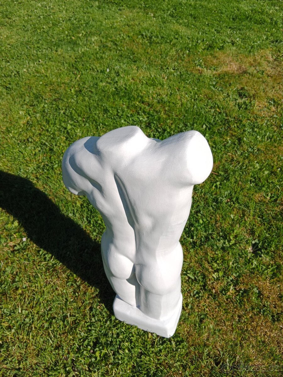 Torzo mužského těla 50 cm - 5