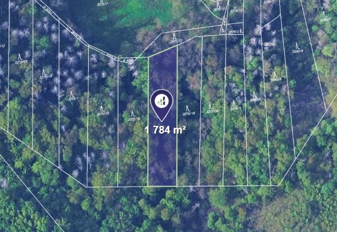 Prodej podílu 1/2 lesa 9 147 m², Ořechov - 5