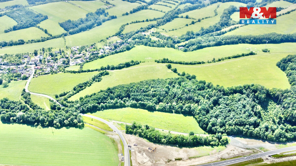 Prodej lesa, 12990 m², Vyšehoří - 5