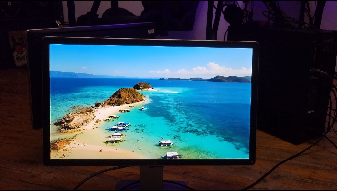 Monitor Dell P2414Hb – 24" - 5