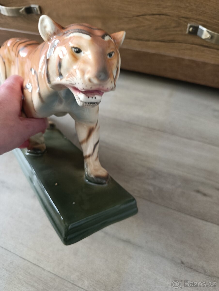 Tygr Ditmar Urbach - 5