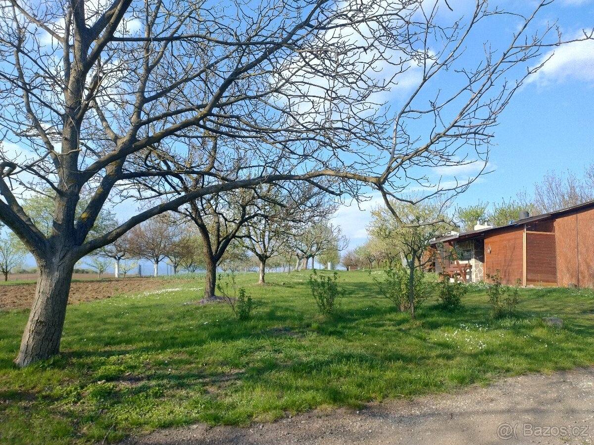 Prodej zahrady, Kunovice - Staré Hory - 5