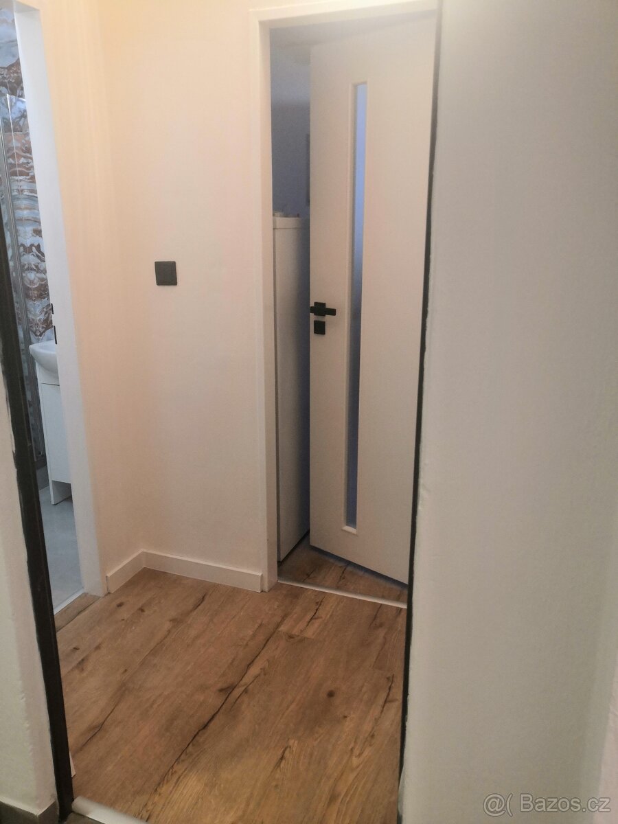 Pronájem bytu 1kk vše v ceně - 5