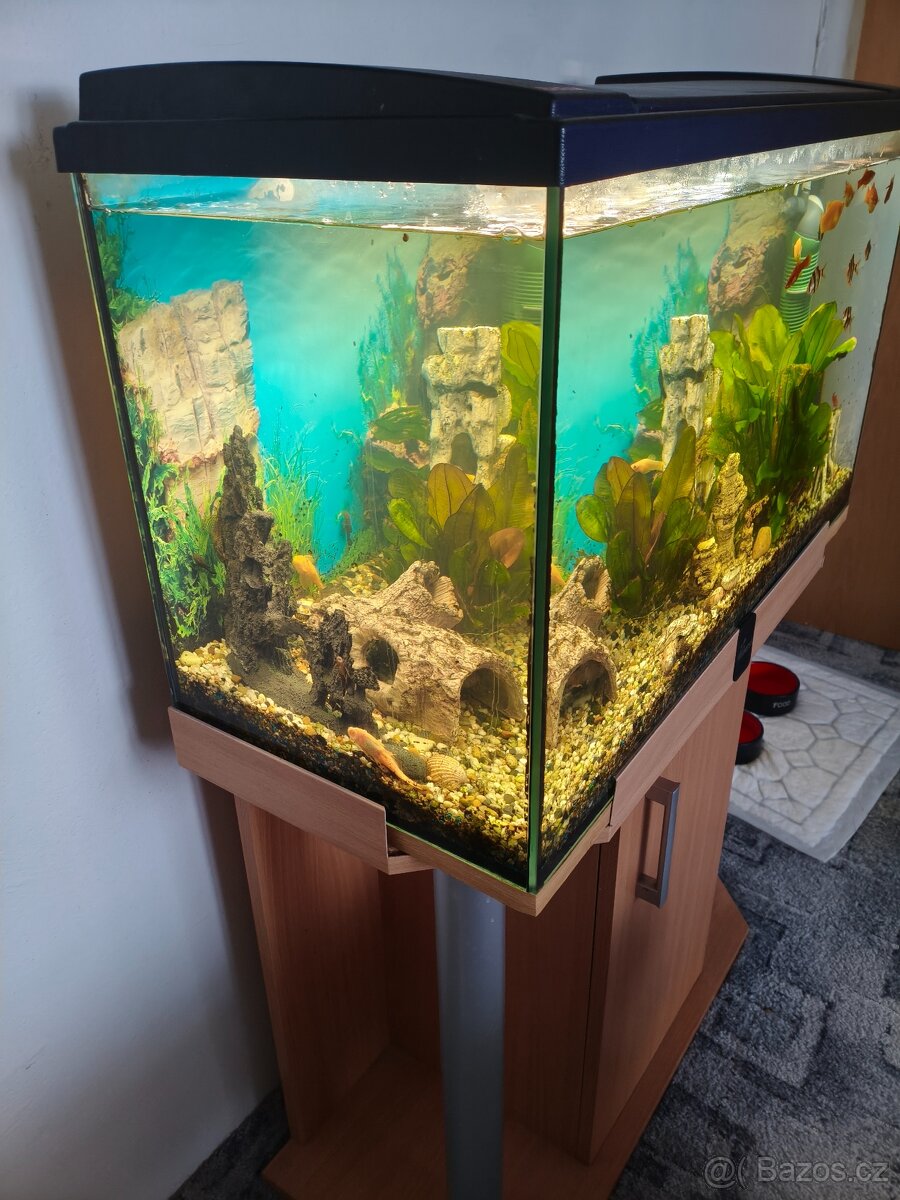 Prodej akvarijního setu - 5