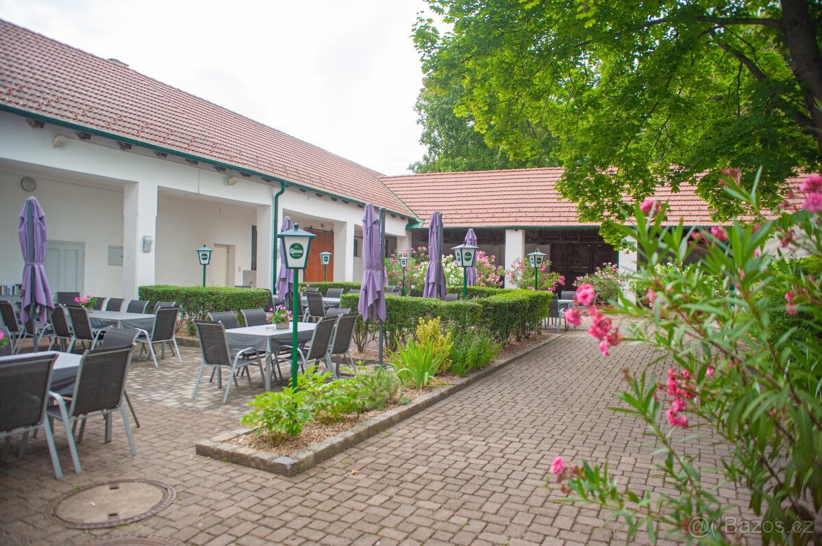 Restaurace k dlouhodobému pronájmu. - 5