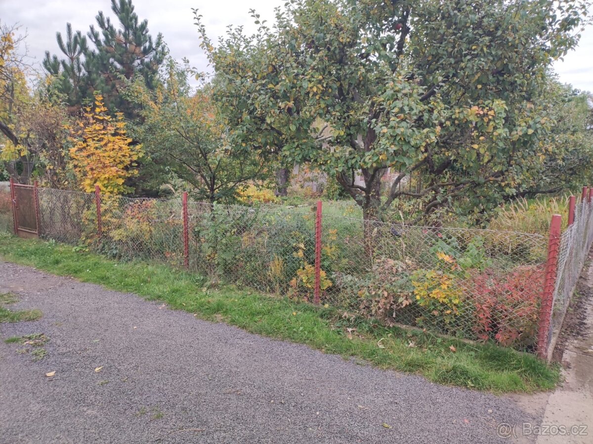 Prodám zahradu - 5