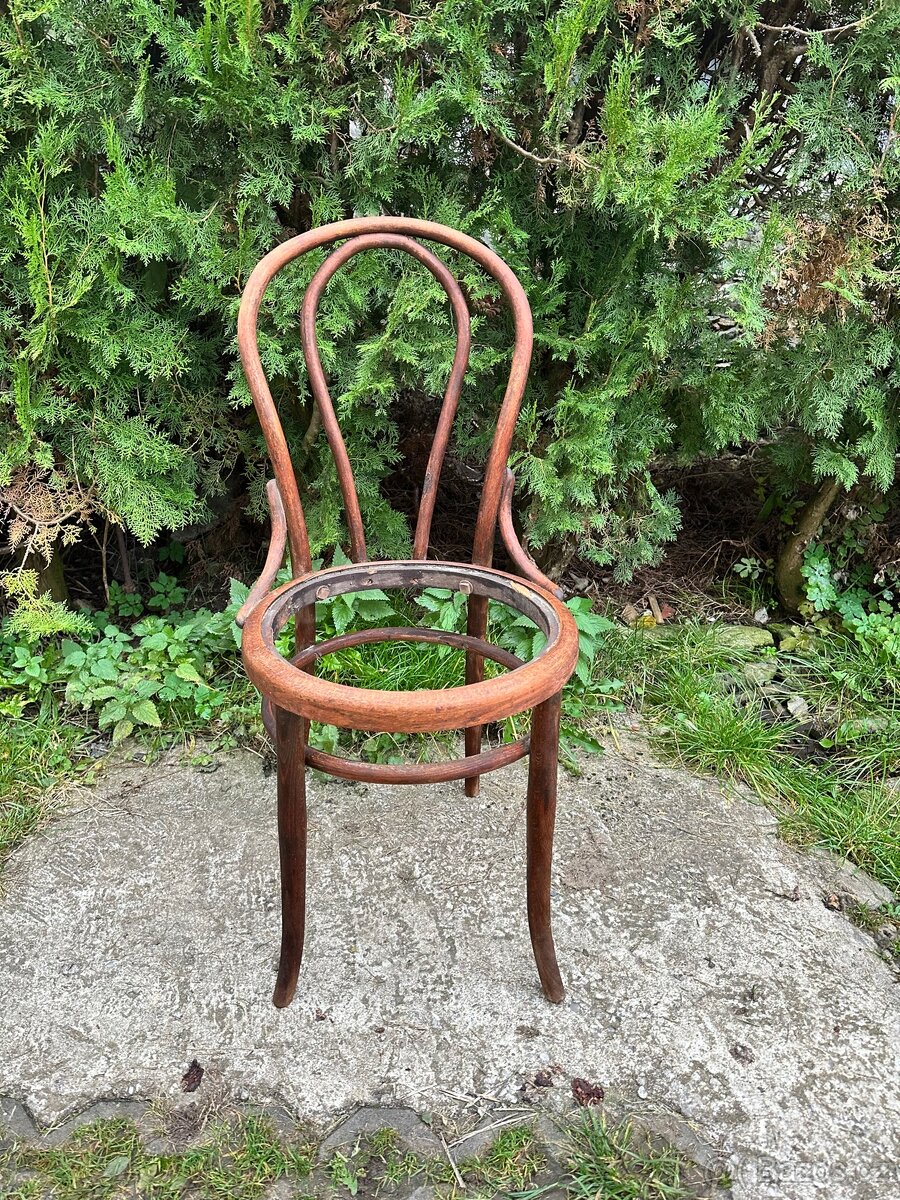 Židle z ohýbaného dřeva - Thonet (2 ks) - 5