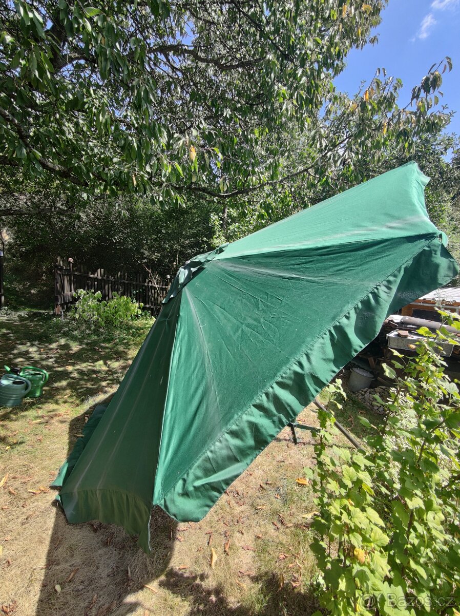 Velký slunečník - 5