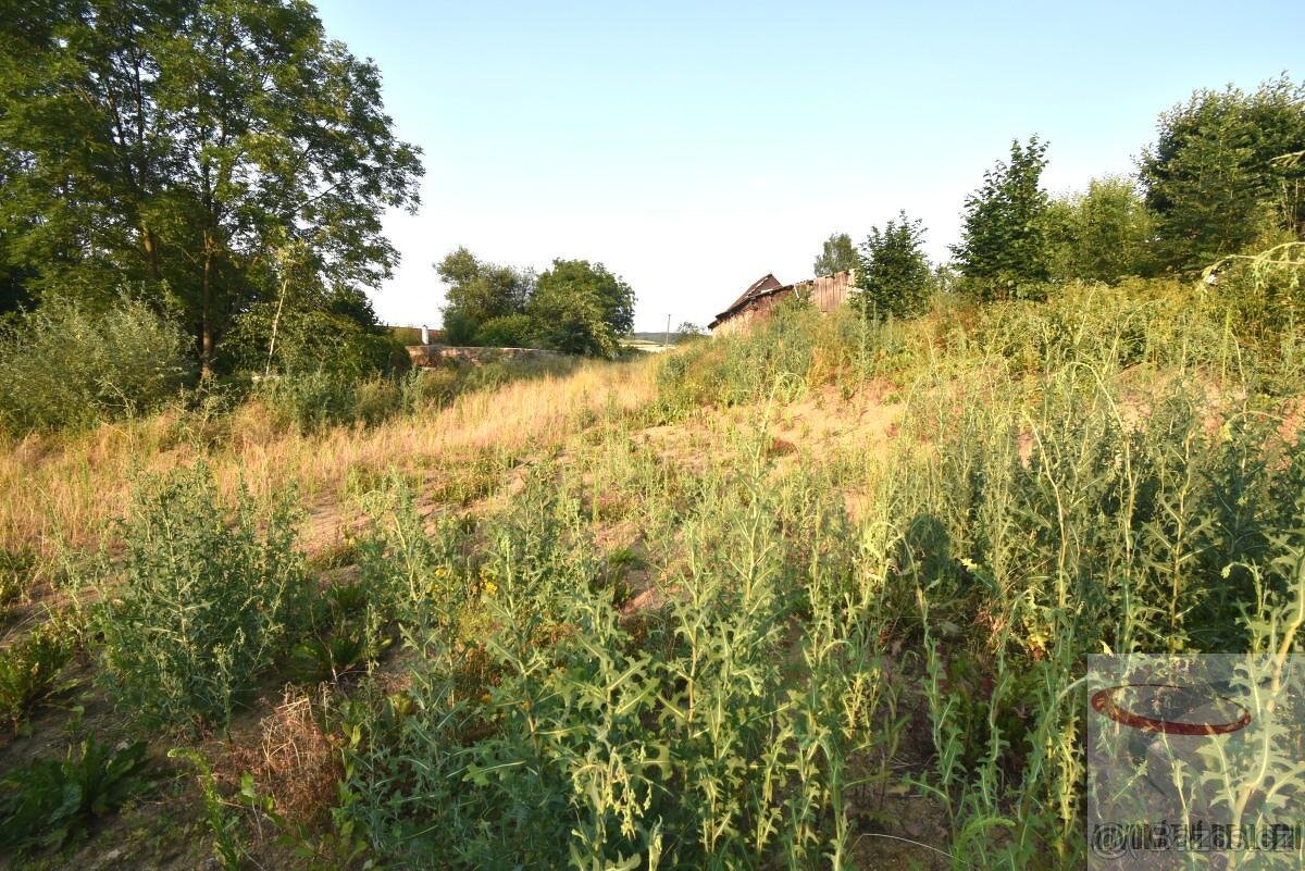 Stavební pozemek 1687 m2, Krásná Hora nad Vltavou - Krašovic - 5