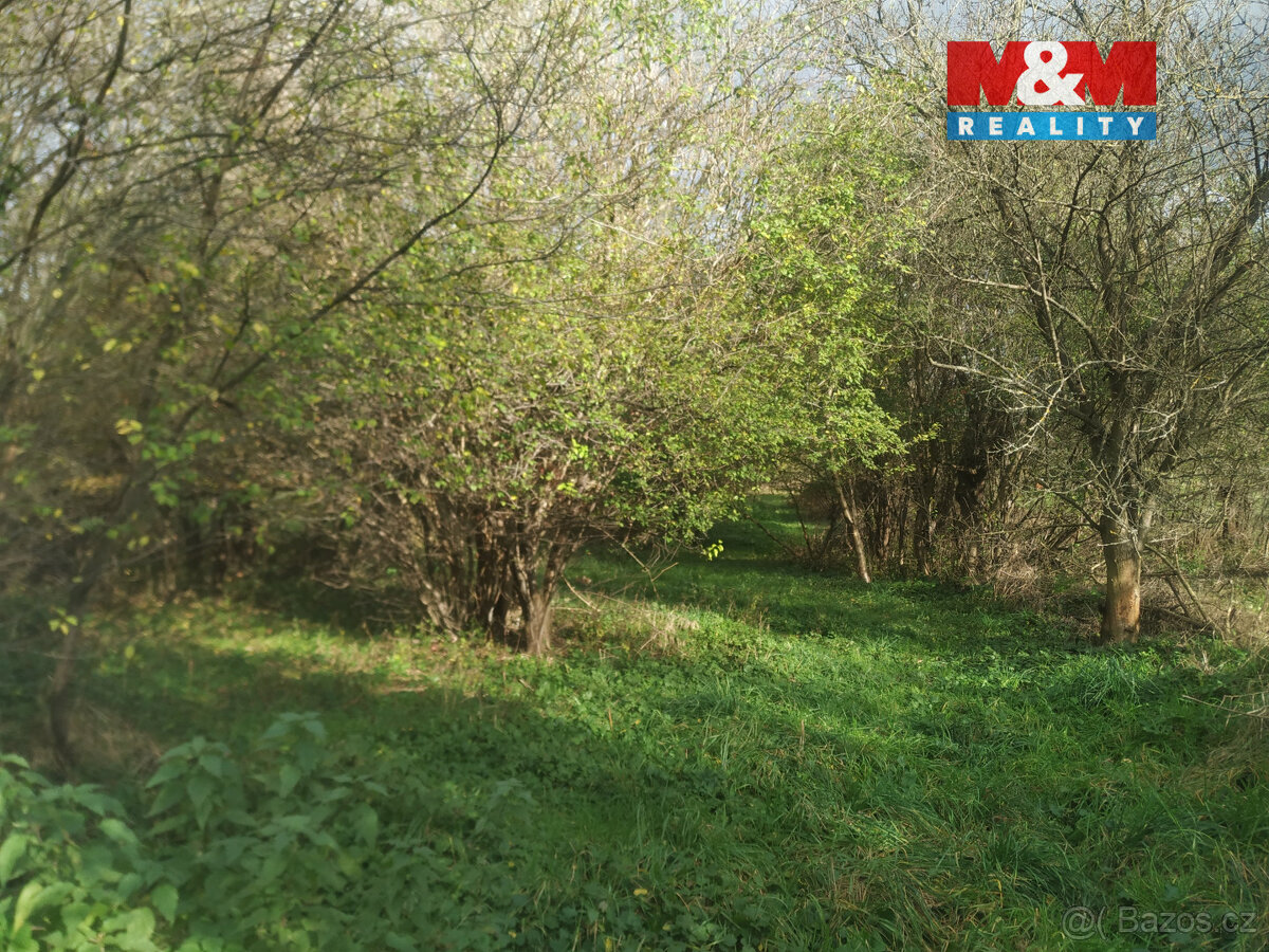 Prodej zahrady, 2804 m², Olomouc - 5
