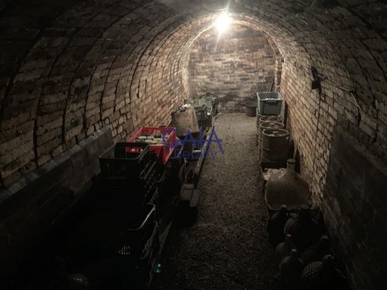 Krumvíř - Prodej vinného sklepa s menší zahrádkou - 62m2 - 5