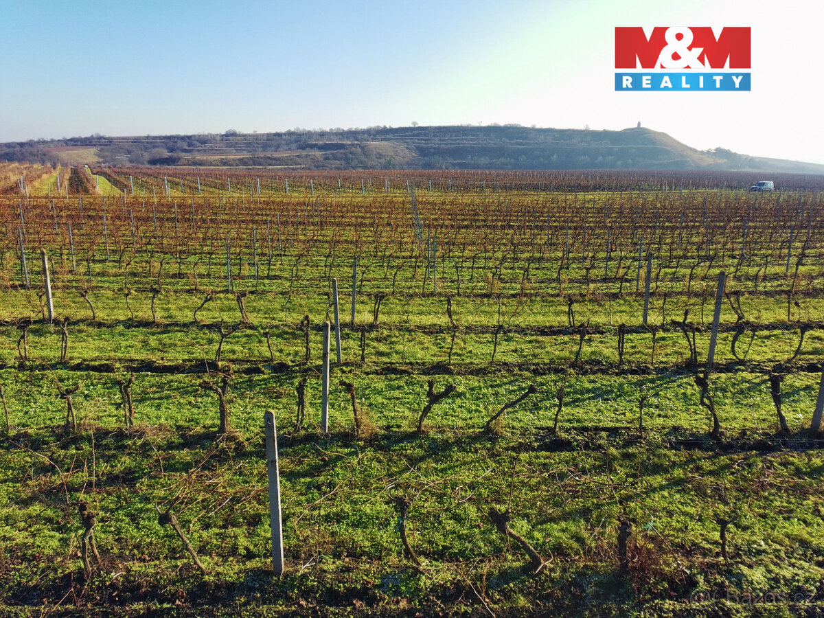 Prodej vinice, 7286 m², Velké Bílovice - 5