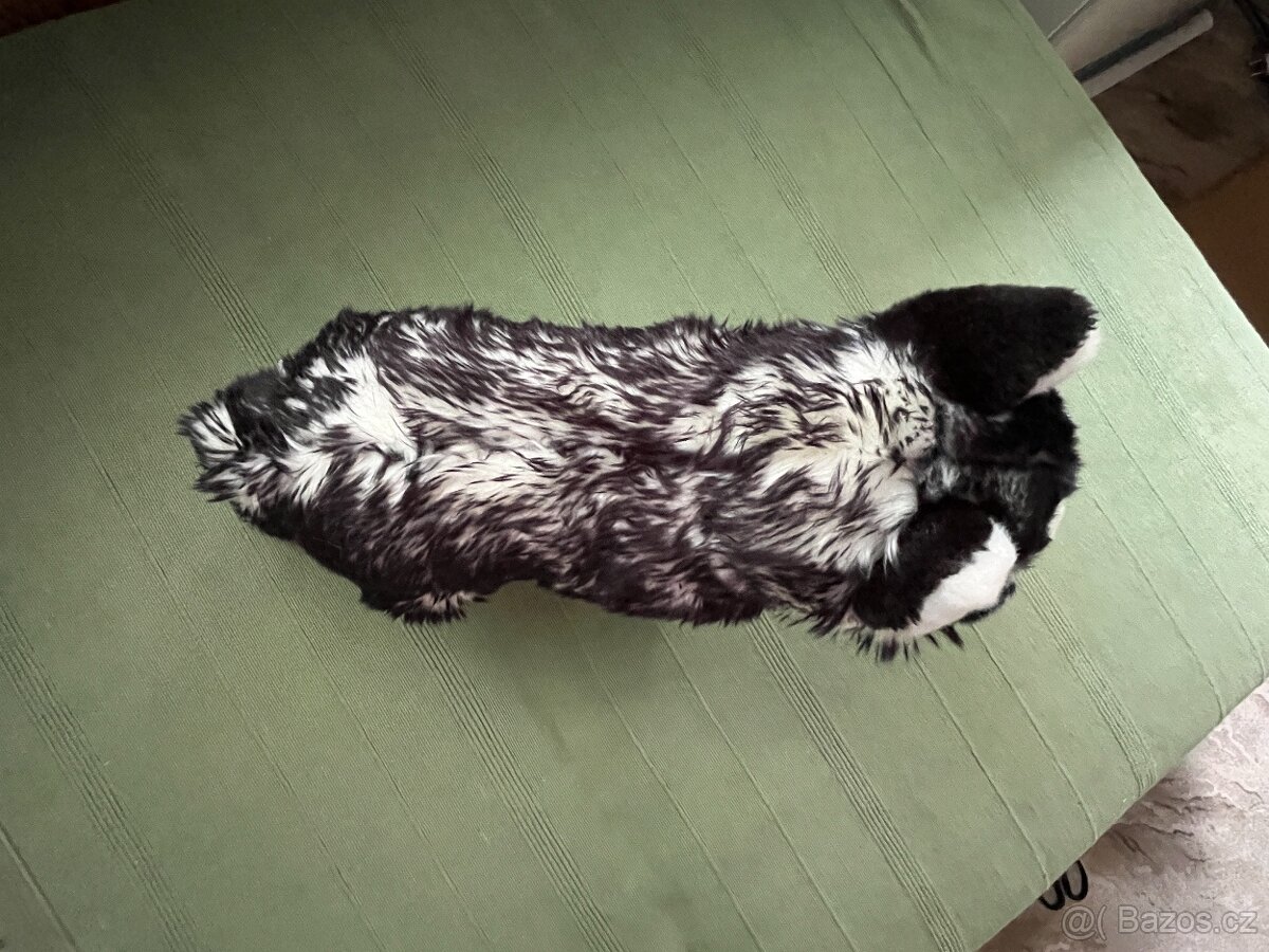 Plyšový pejsek husky černobílý - 5