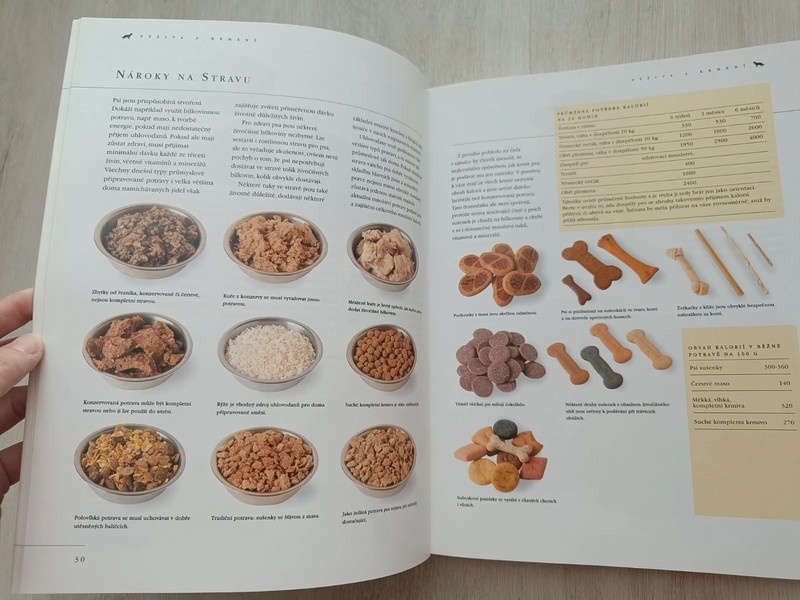 Pes a péče o něj - 5