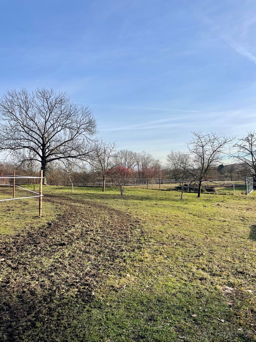 Paddock Paradise - 5