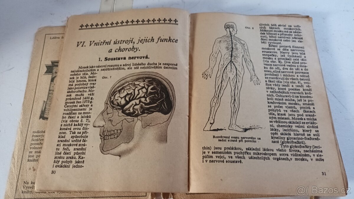 Starý slovníček + herbář - cena za obojí - 5