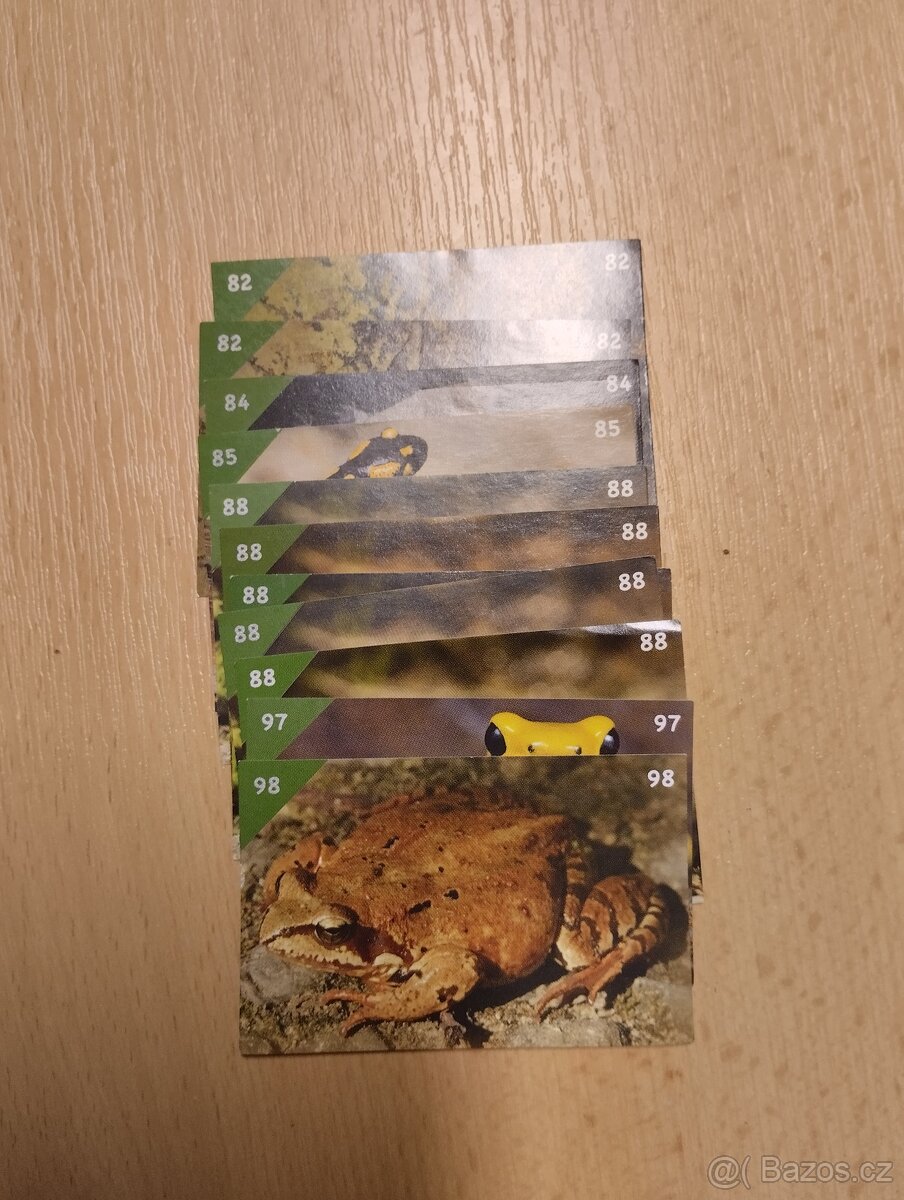 Animal kingdom - kartičky - 5