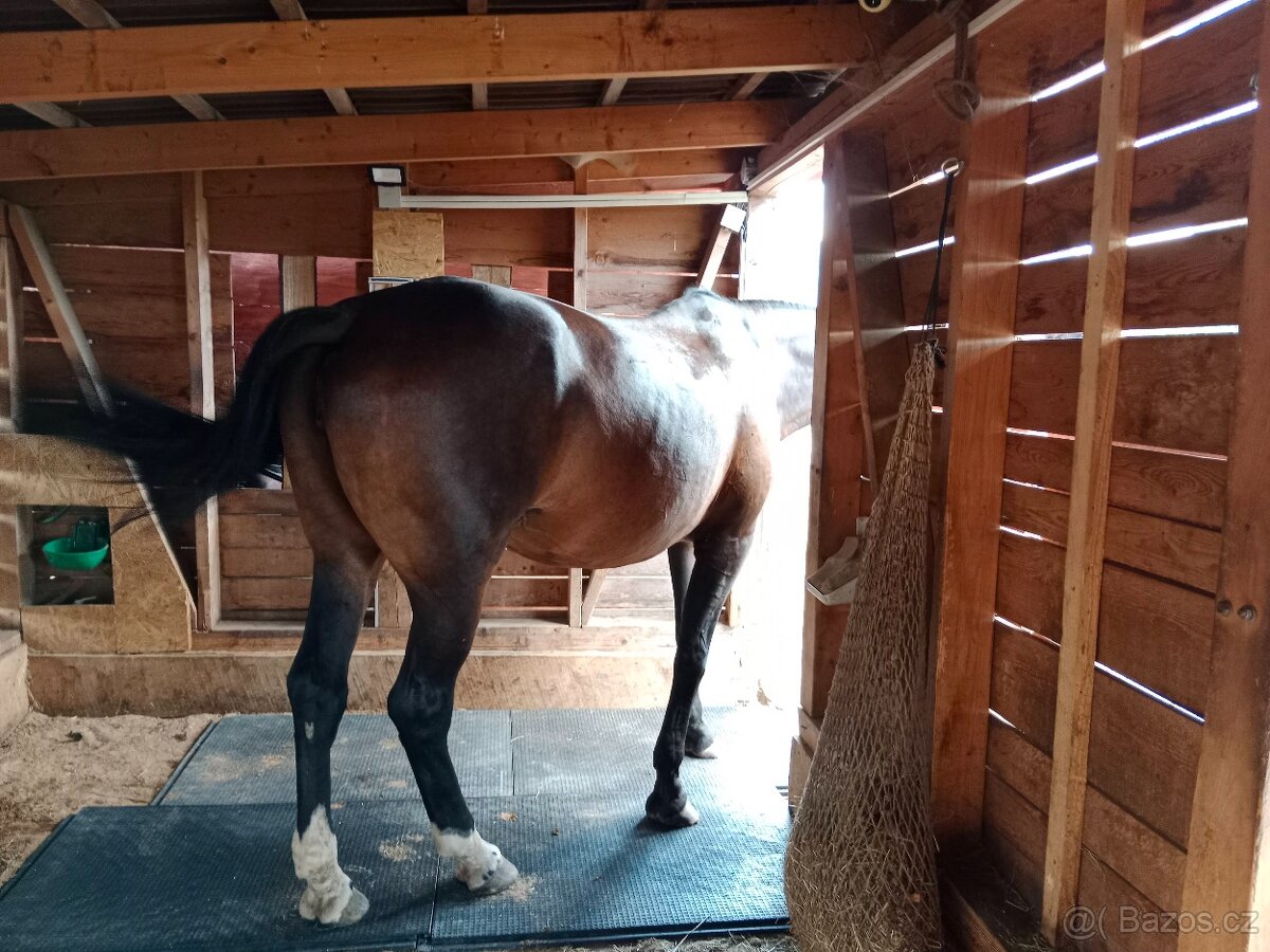 Stájové rohože, do boxů pro koně - sleva 7% - 5