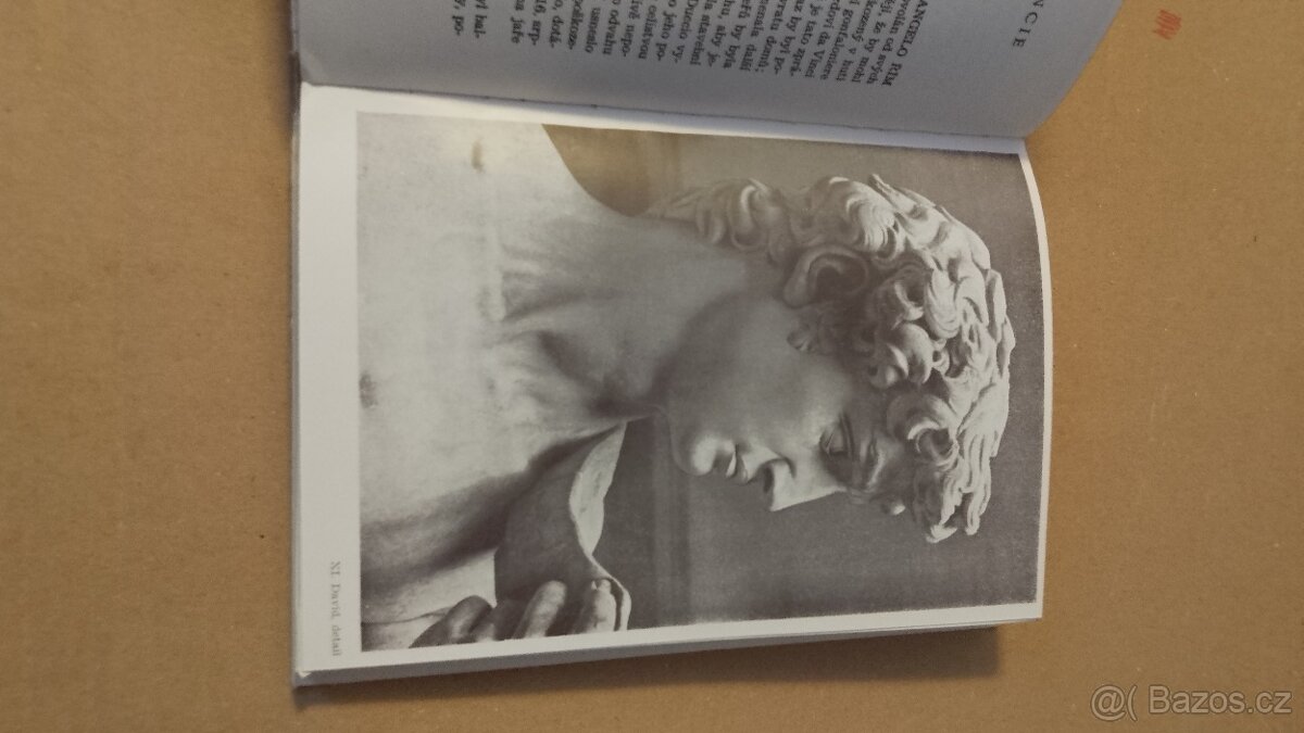 Michelangelo Buonarroti.Život a dilo - 5