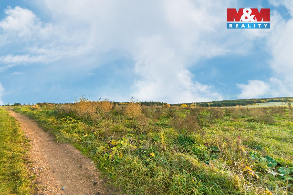 Prodej louky, 672 m², Vysoká Libyně - 5