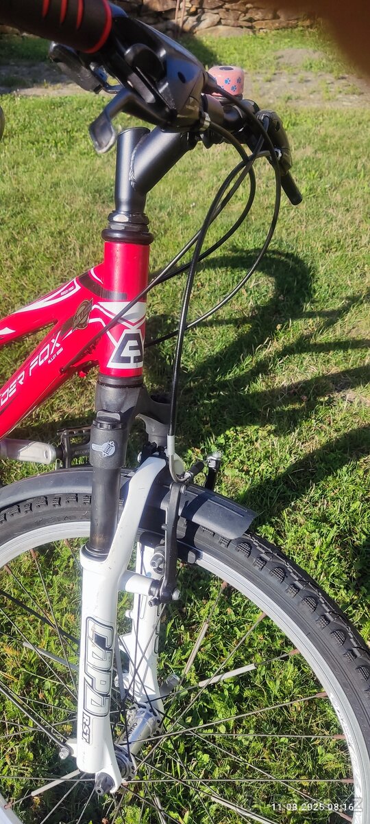 Prodám kola,po servisu. - 5