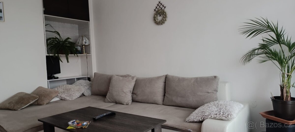 Byt 3+1 cihla Plzeň Bory Máchova ulice - 5