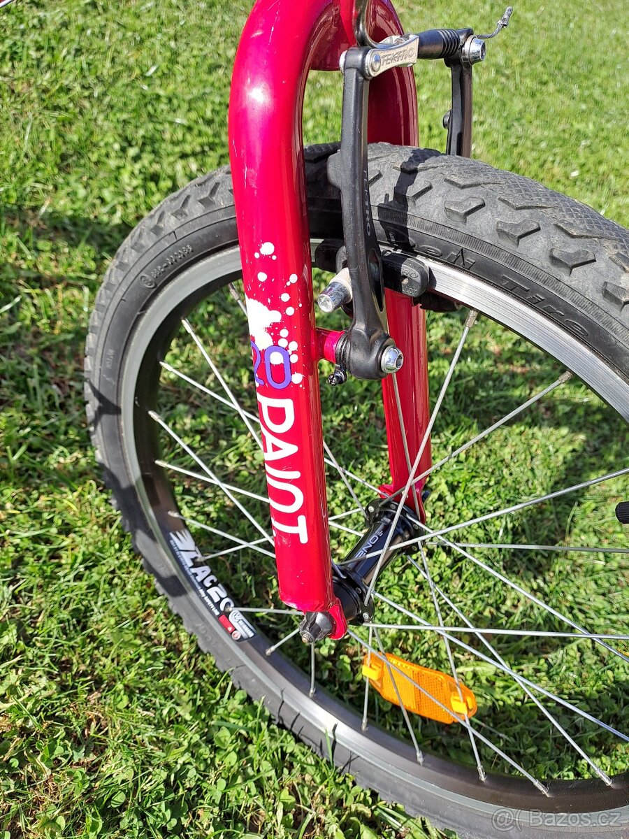 Superior Paint 20"- PĚKNÉ - 5