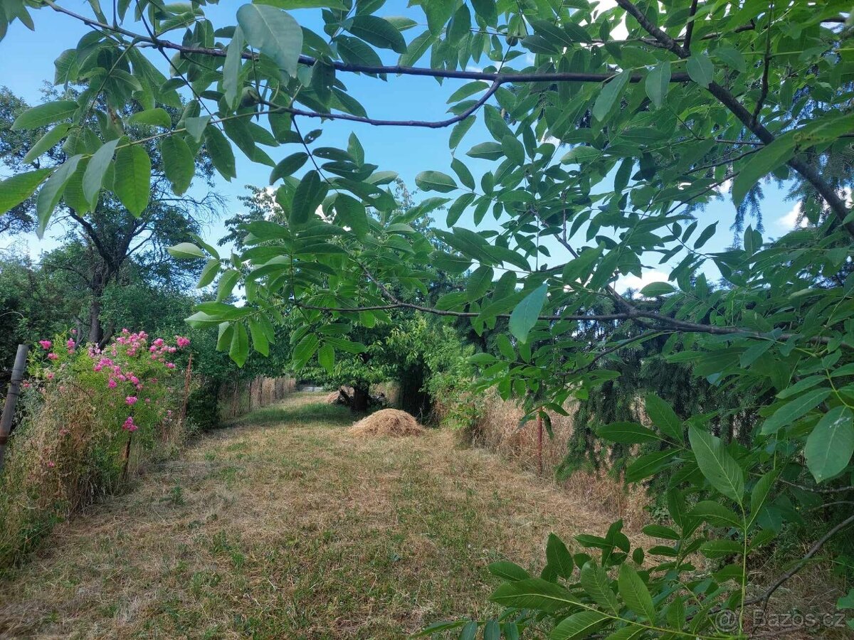 Prodám zahradu v Brně v Obřanech 496 m2 - 5