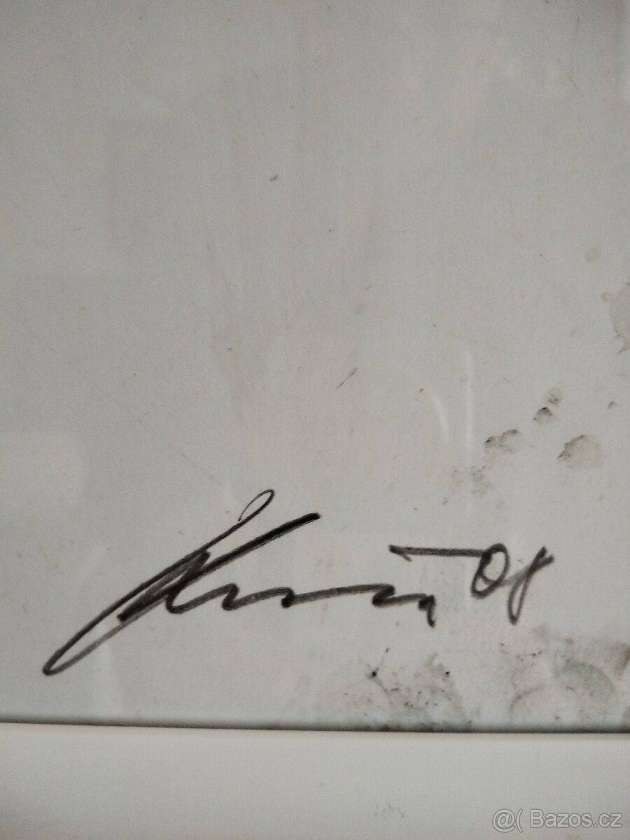 obraz TORZO DÁMA, akt, pastel, Antonín Kroča 2008 - 5