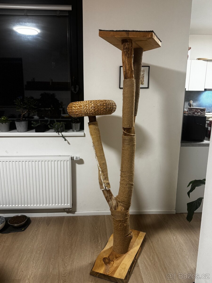 Kočičí strom - škrabadlo masiv - 5