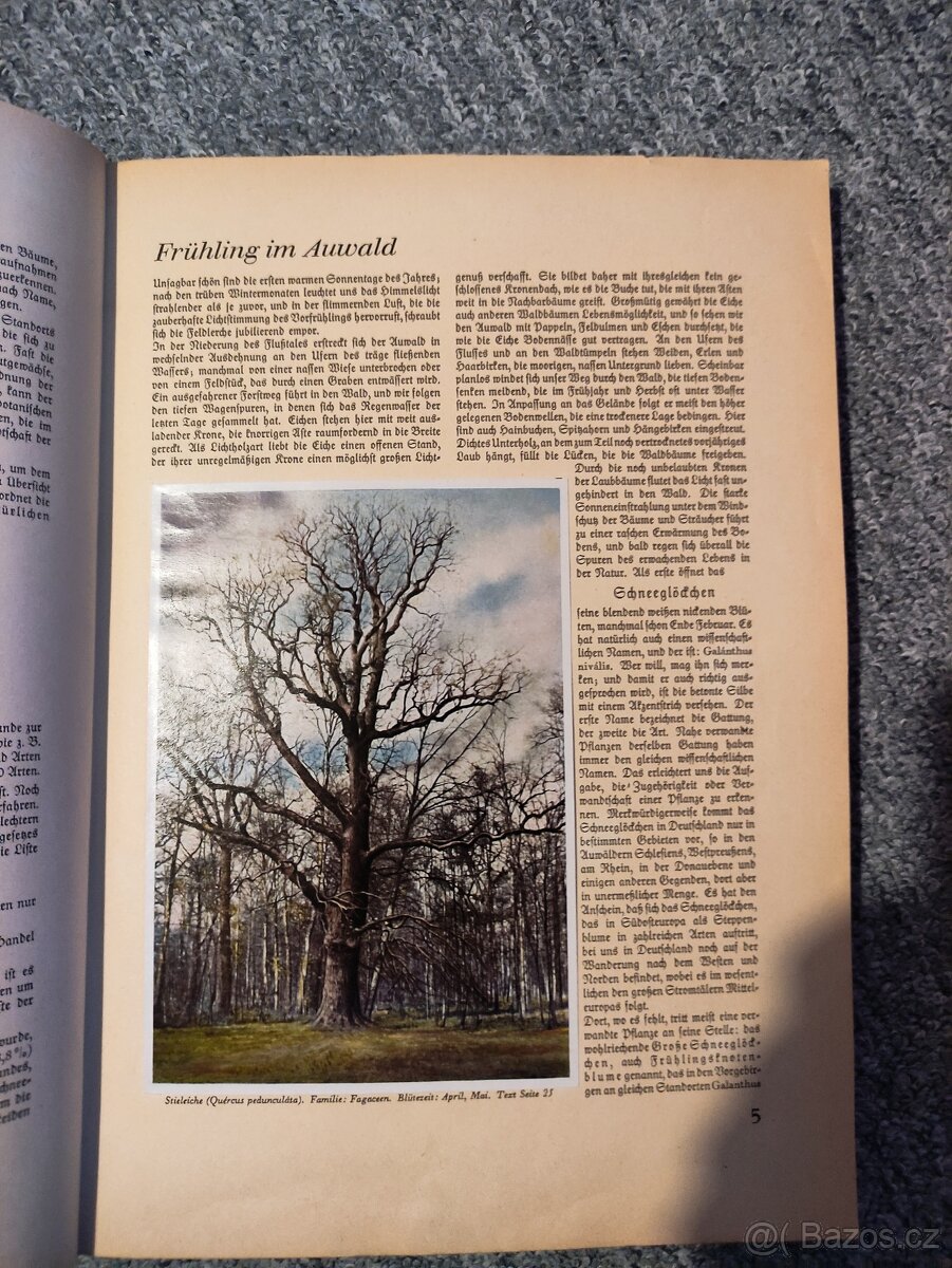 Staré německé knihy - 5