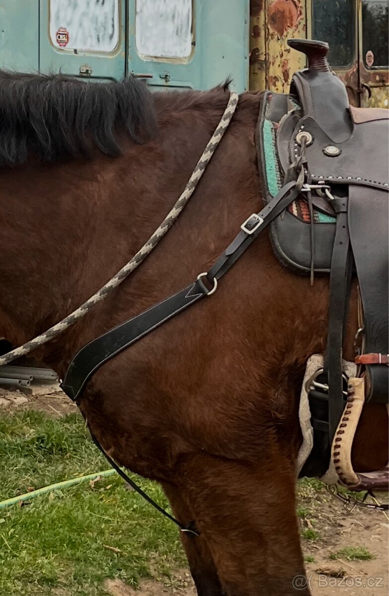 Černý kožený poprsák - 5