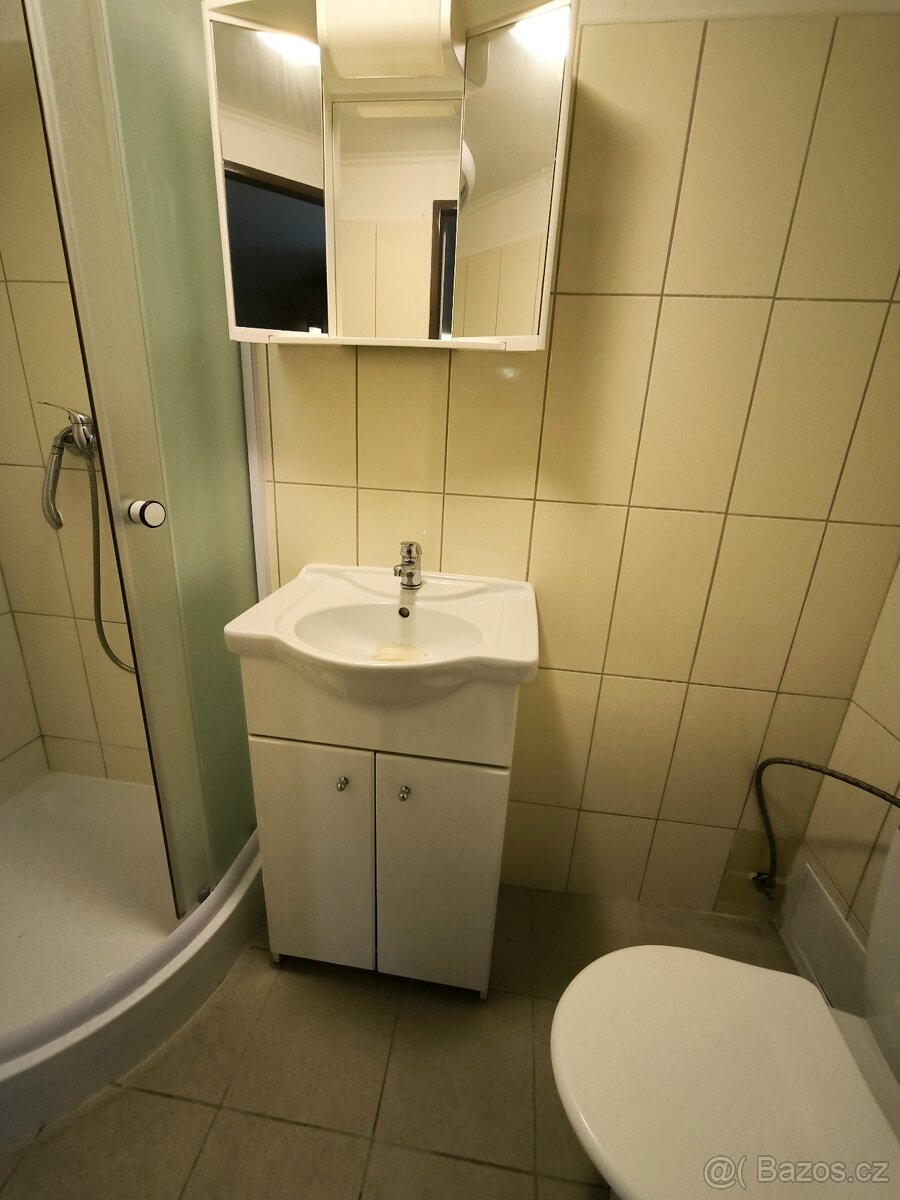 Pronájem bytu 1+1 39 m², Děčín, Teplická - 5