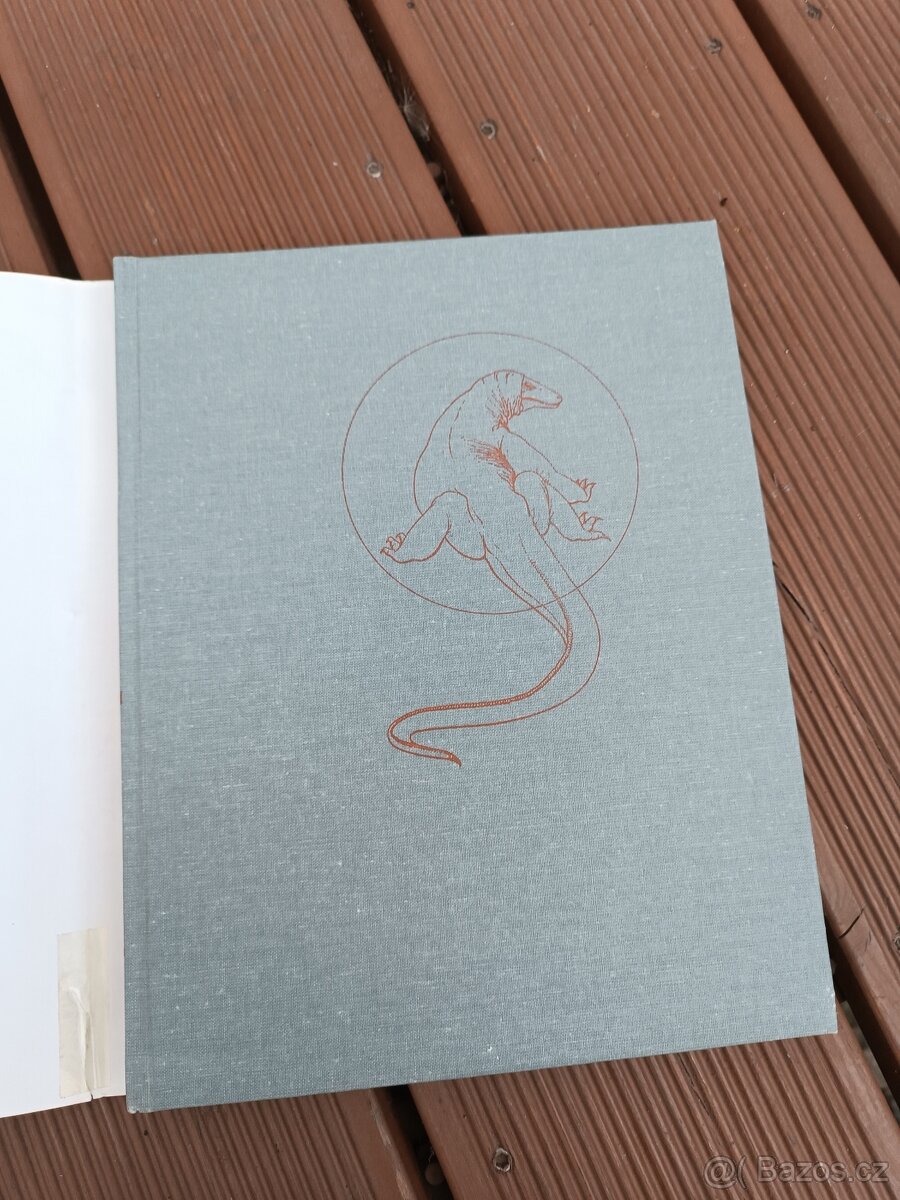 Obojživelníci a plazi - 5