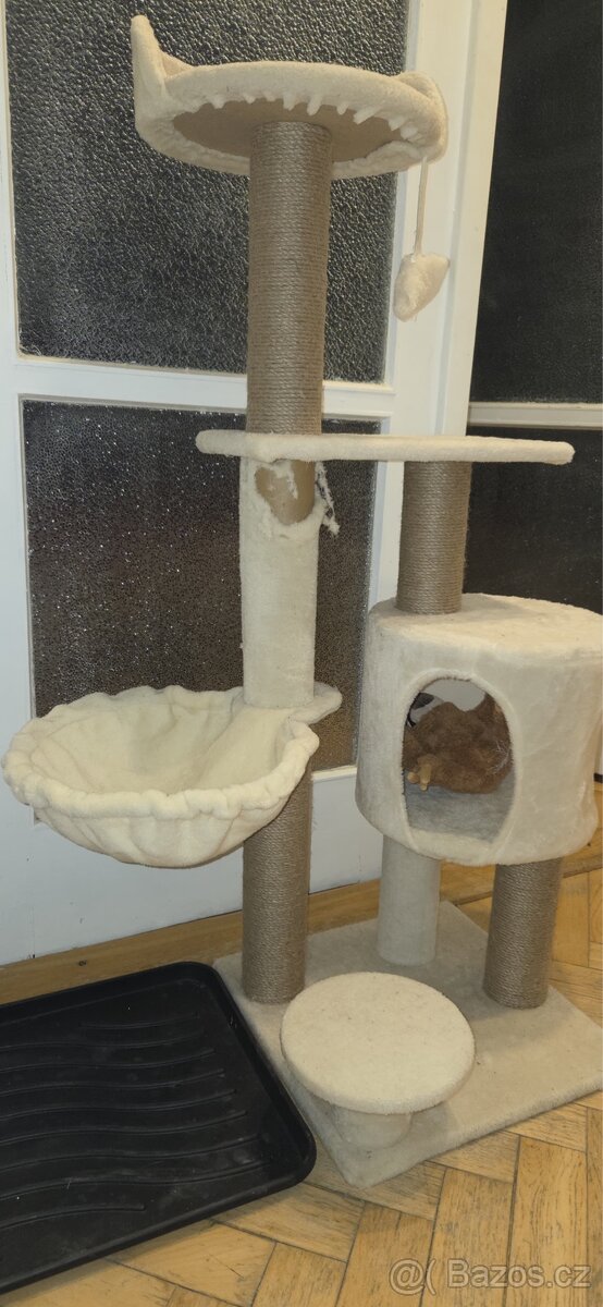 Daruji kočičku - 5