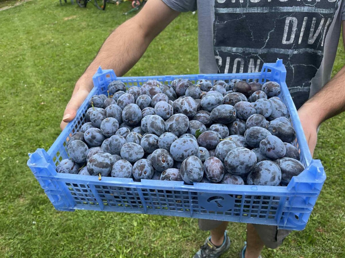 domácí marmelády ze 100% ovoce z naší zahrádky - 5