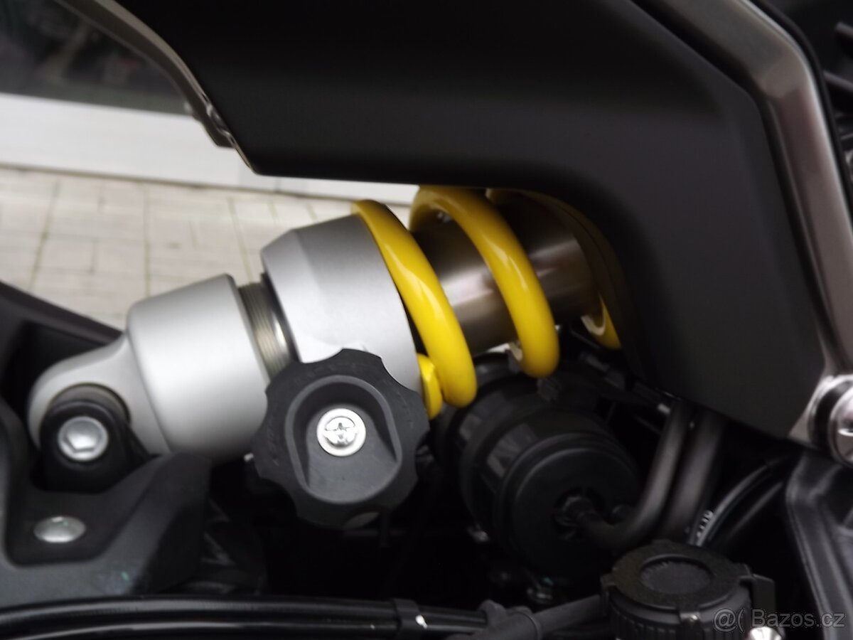 Benelli Leoncino 800 - 5